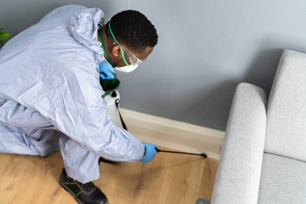 Best Fumigation Services  in South Brooksville, FL